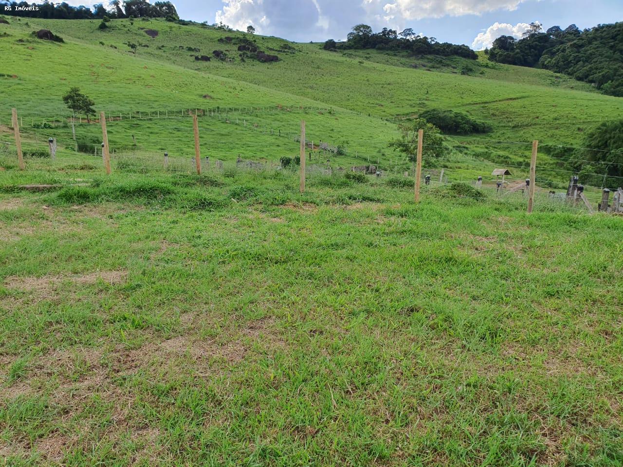 Fazenda à venda com 2 quartos, 220m² - Foto 15
