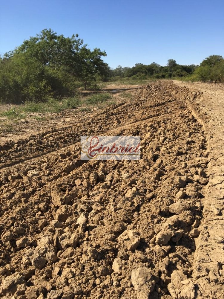 Fazenda à venda, 4600m² - Foto 8