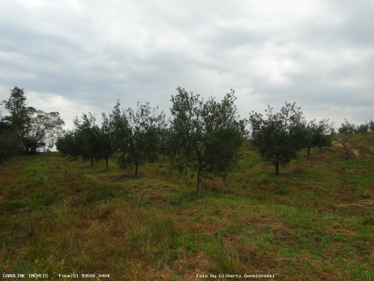 Fazenda à venda com 6 quartos, 493400m² - Foto 27