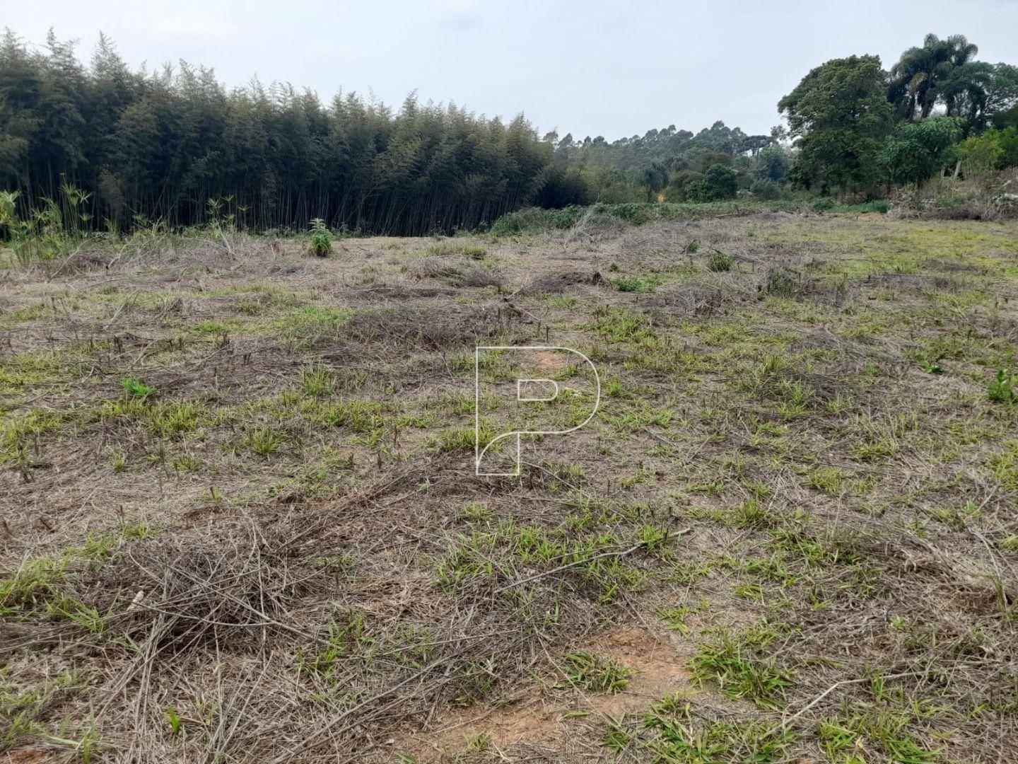 Terreno à venda, 2459M2 - Foto 14