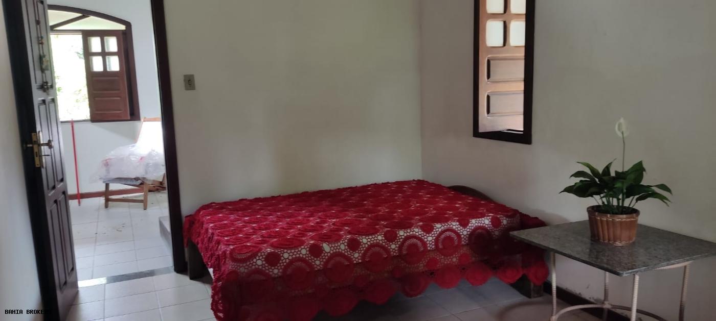 Fazenda à venda com 3 quartos, 35m² - Foto 19