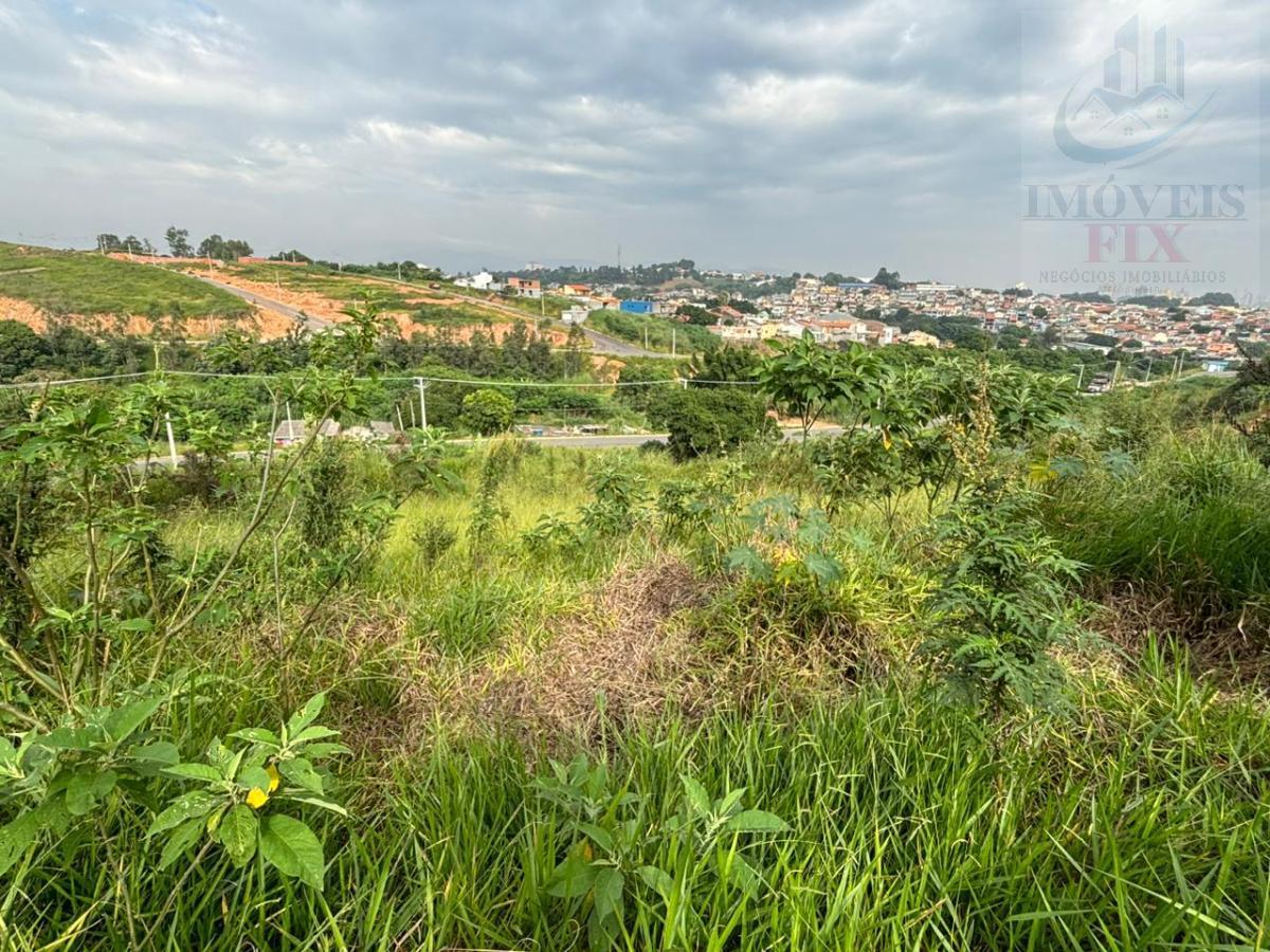 Terreno à venda, 239m² - Foto 6