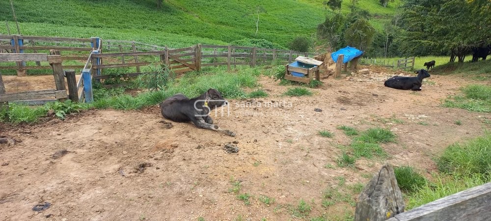 Fazenda à venda com 1 quarto, 150m² - Foto 71