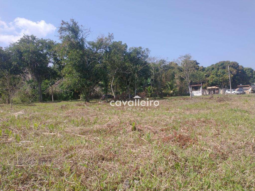 Terreno à venda, 7000M2 - Foto 6