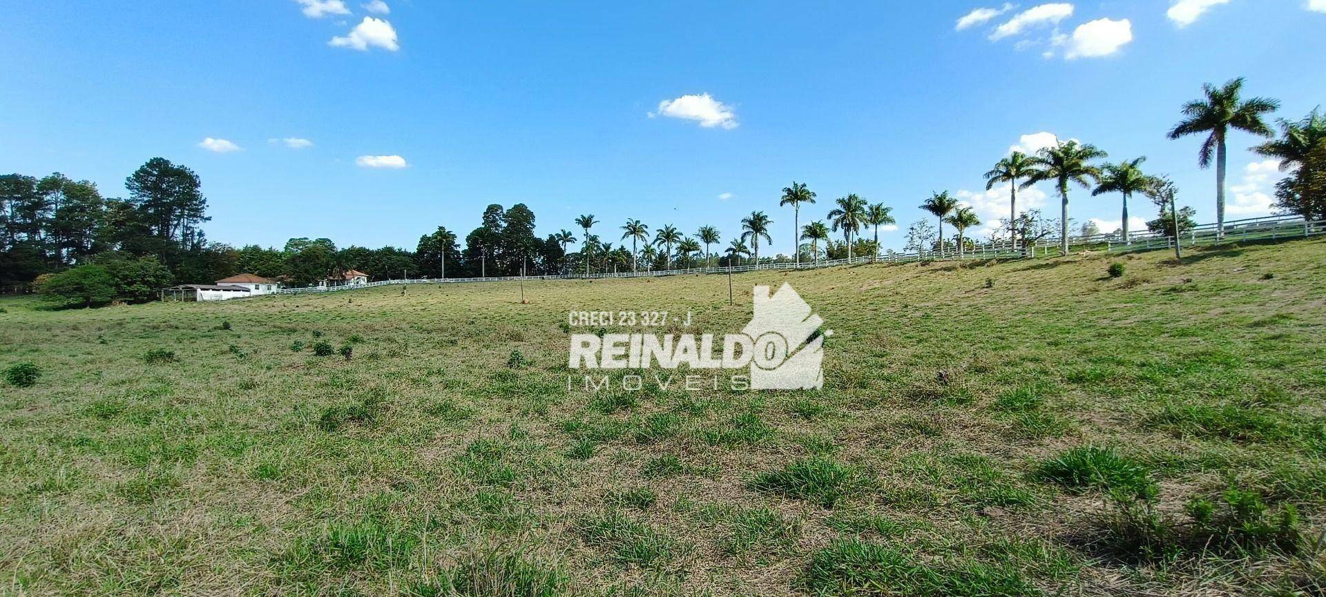 Haras e Área Rural Padrão à venda com 16 quartos, 2500m² - Foto 193