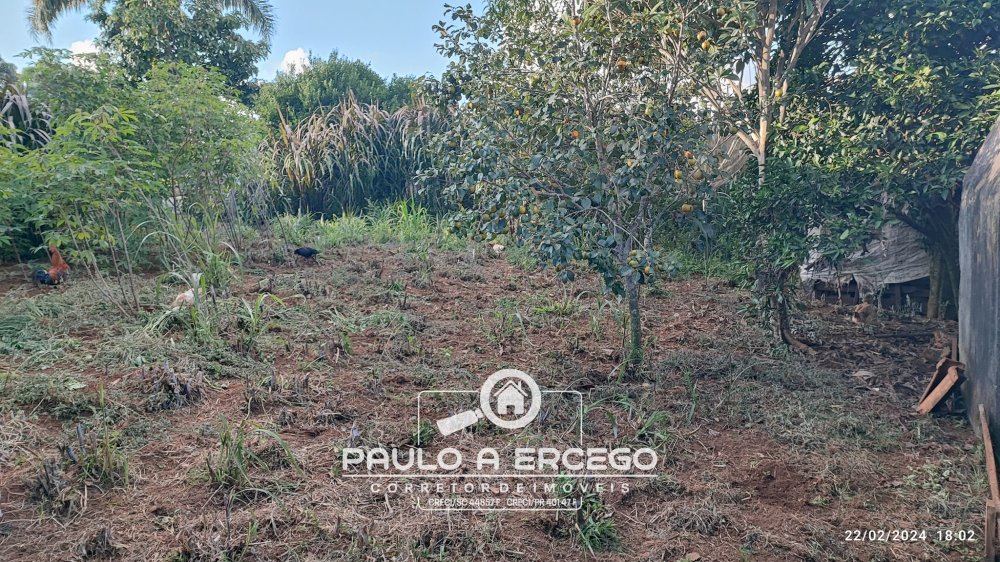 Casa, 2 quartos, 719 m² - Foto 8