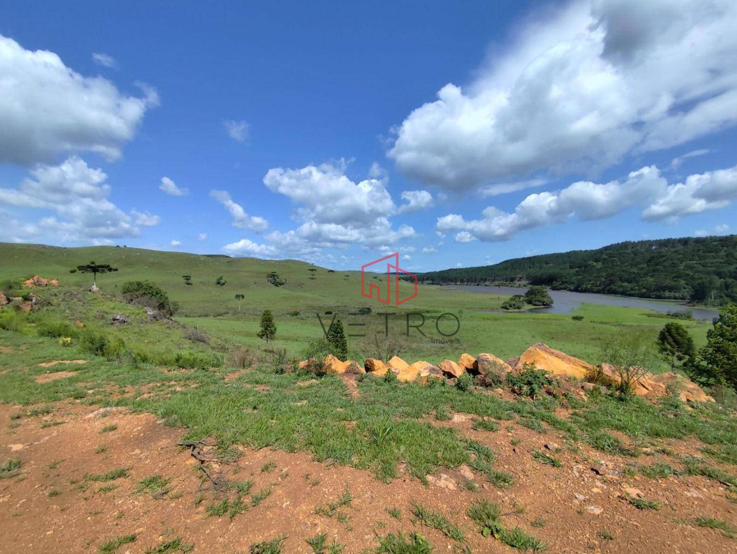 Sítio, 2 hectares - Foto 1