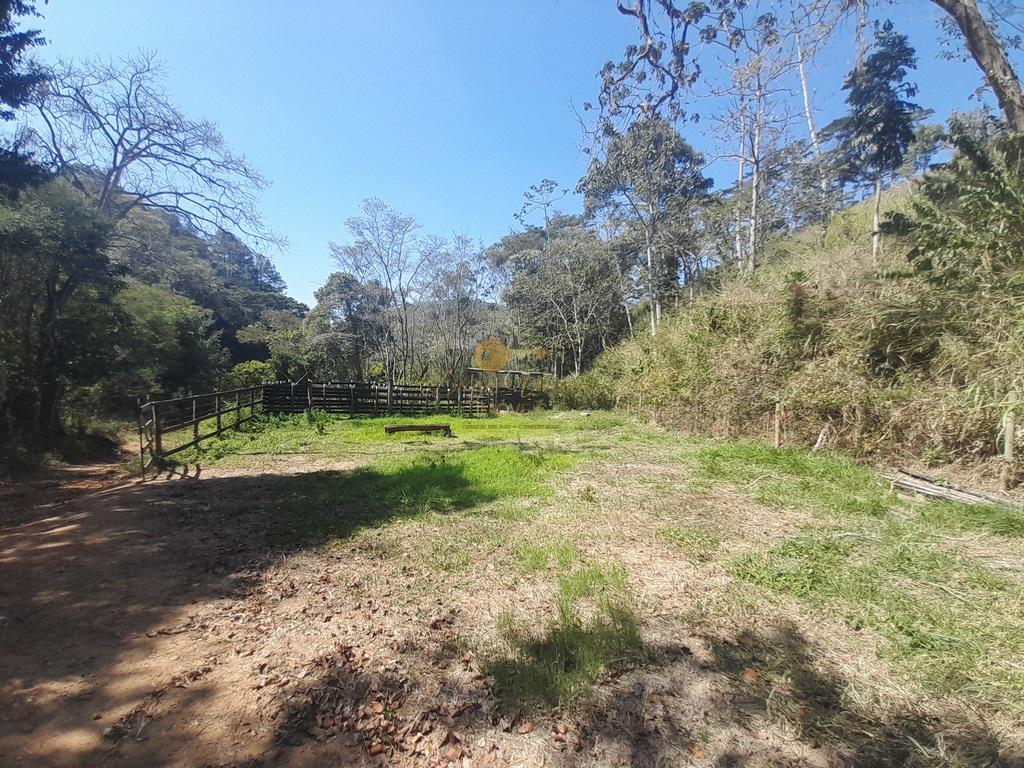 Fazenda à venda com 6 quartos, 387200m² - Foto 39