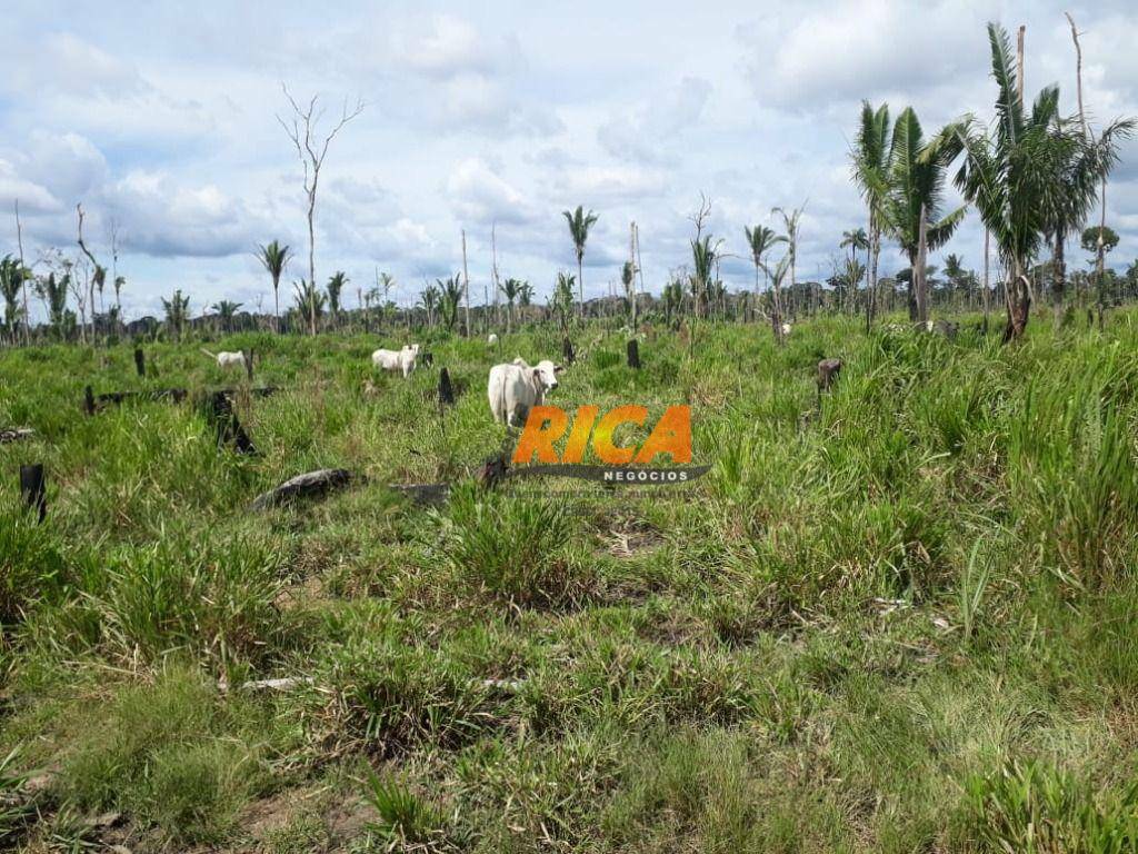 Fazenda à venda, 1150000M2 - Foto 61