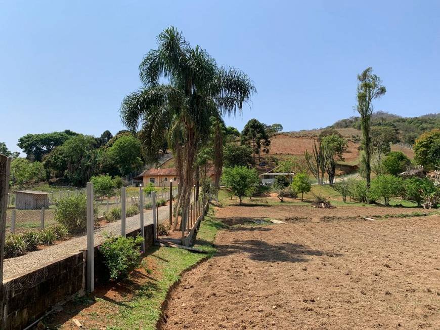 Sítio à venda com 4 quartos, 45m² - Foto 12