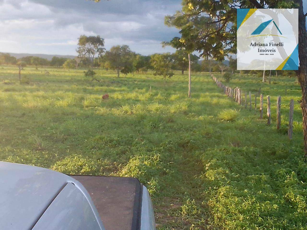 Fazenda à venda, 1384500M2 - Foto 6