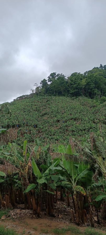 Fazenda à venda, 77m² - Foto 1