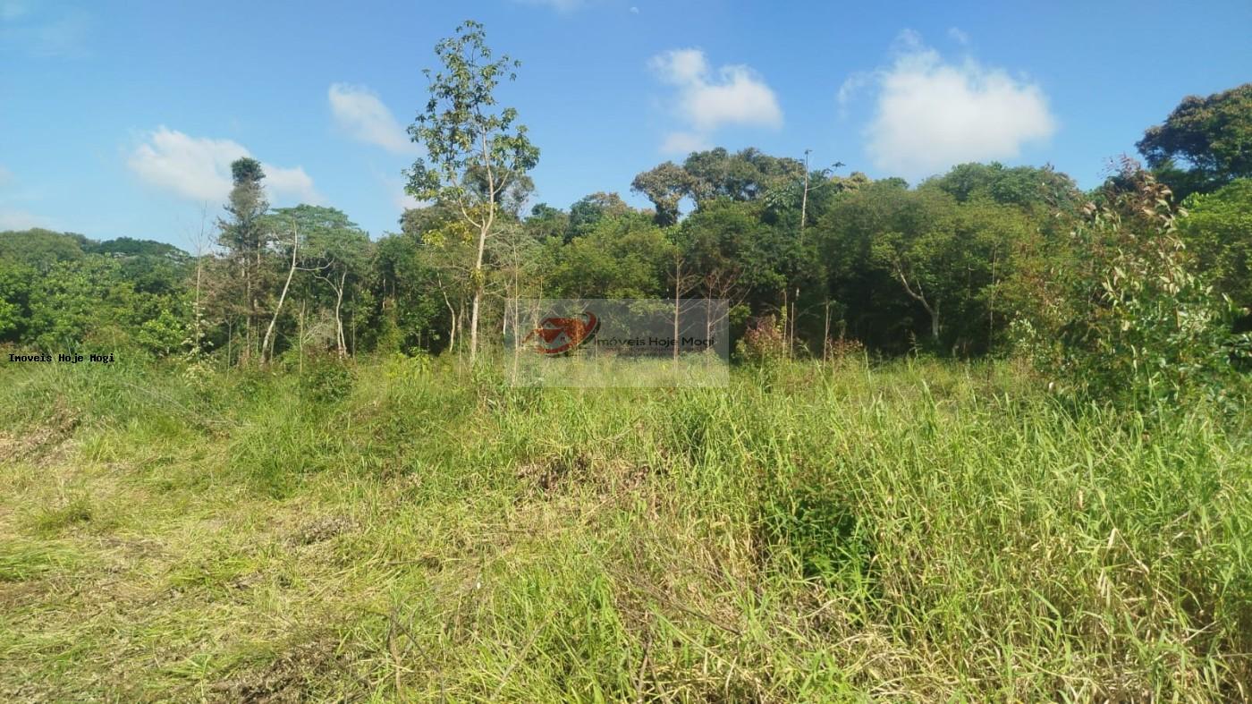 Terreno à venda, 5000m² - Foto 10