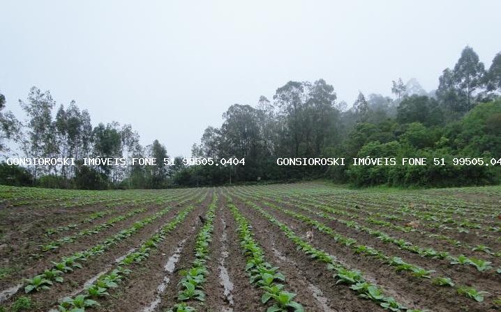 Fazenda à venda com 3 quartos, 140000m² - Foto 7