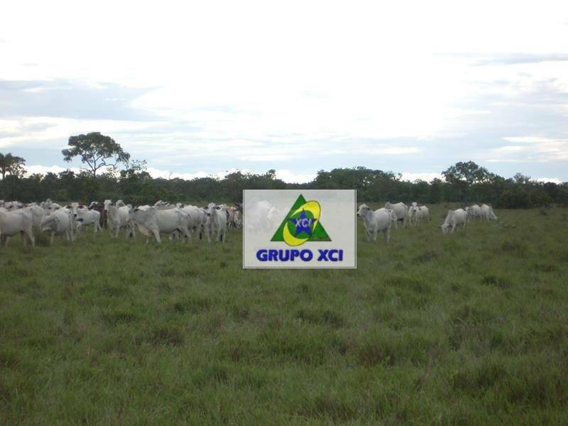 Fazenda à venda, 836000000M2 - Foto 29