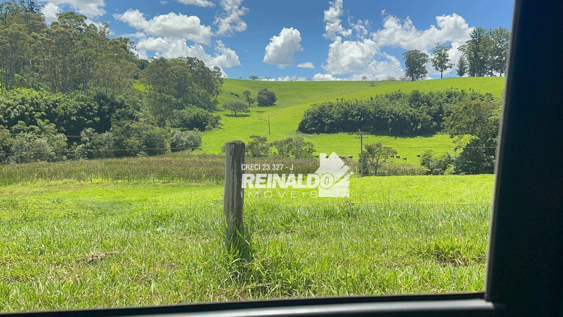 Fazenda à venda com 9 quartos, 5000m² - Foto 106