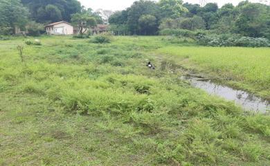 Fazenda à venda com 4 quartos, 15000m² - Foto 12