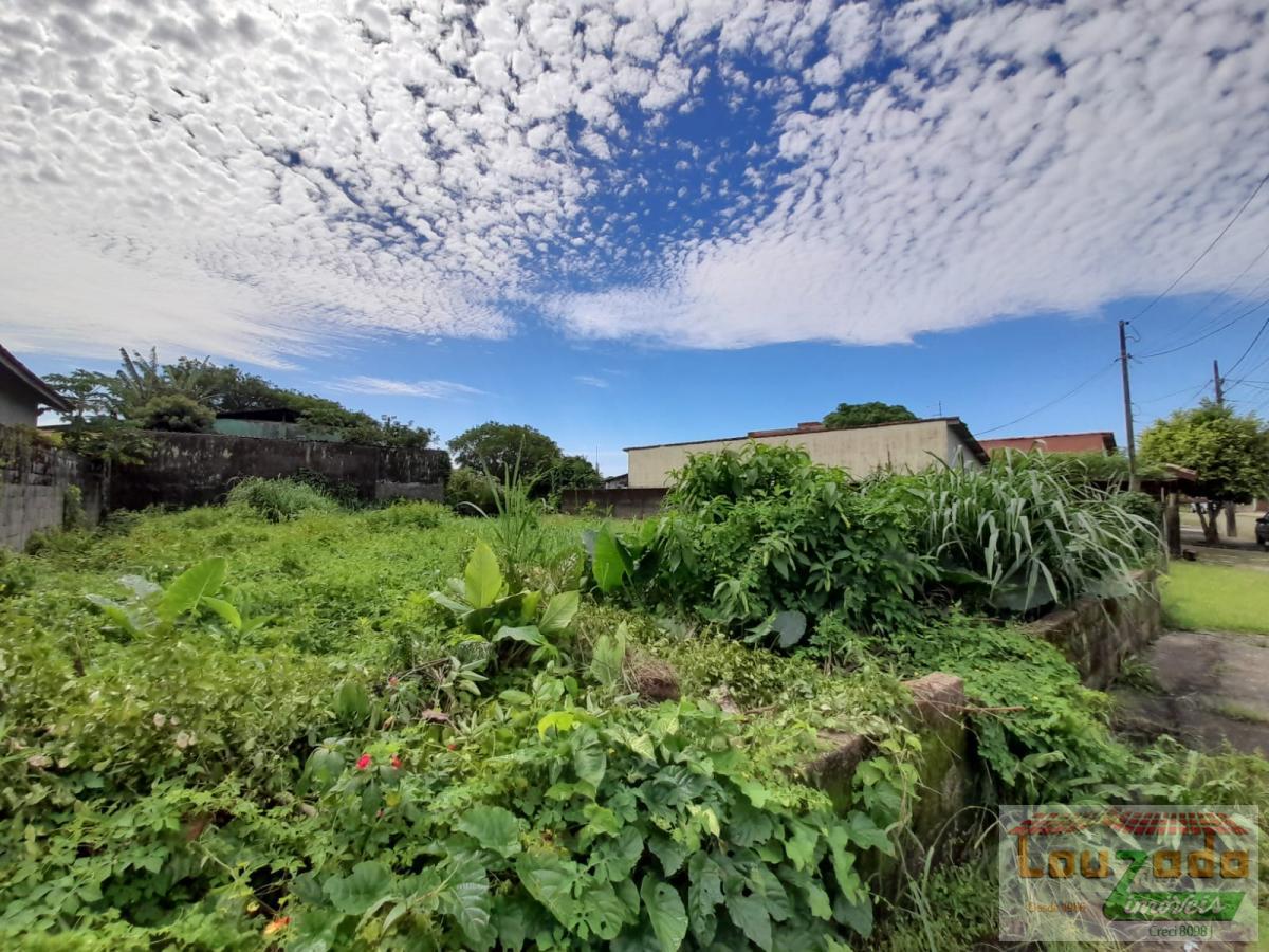 Terreno à venda, 300m² - Foto 2