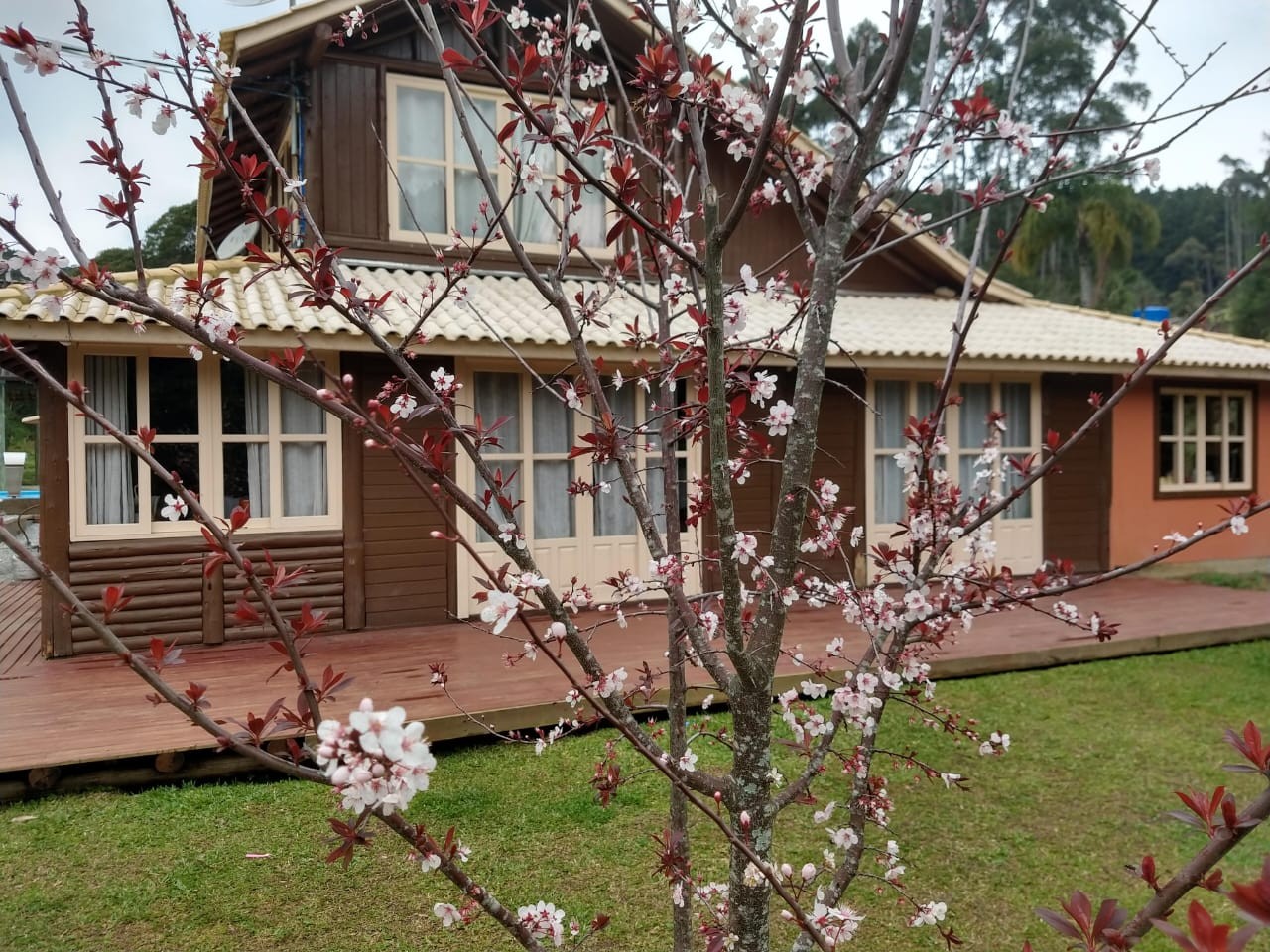 Casa à venda com 4 quartos, 2m² - Foto 9