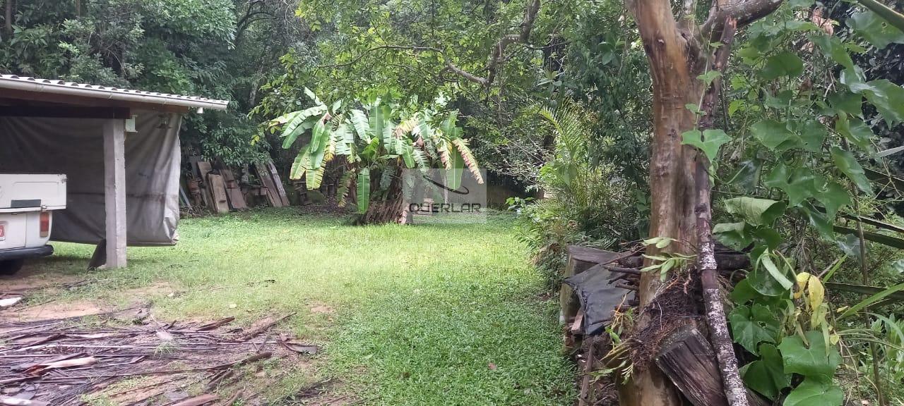 Fazenda à venda com 3 quartos, 100m² - Foto 4