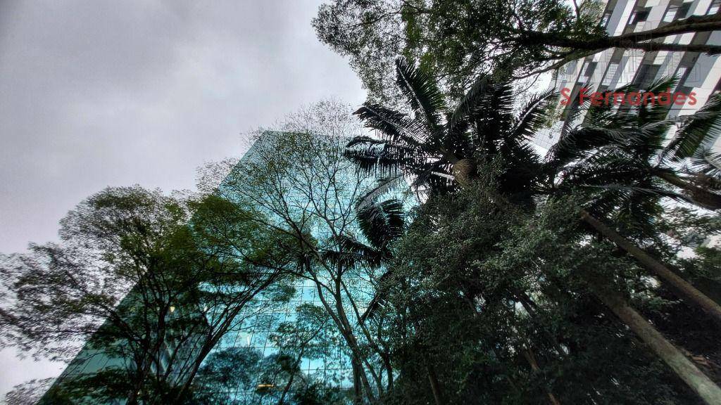 Sala-Conjunto, 559 m² - Foto 3