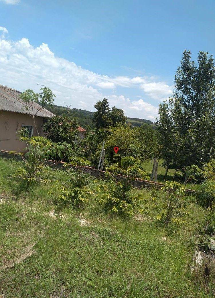 Chácara à venda com 3 quartos, 5000M2 - Foto 4