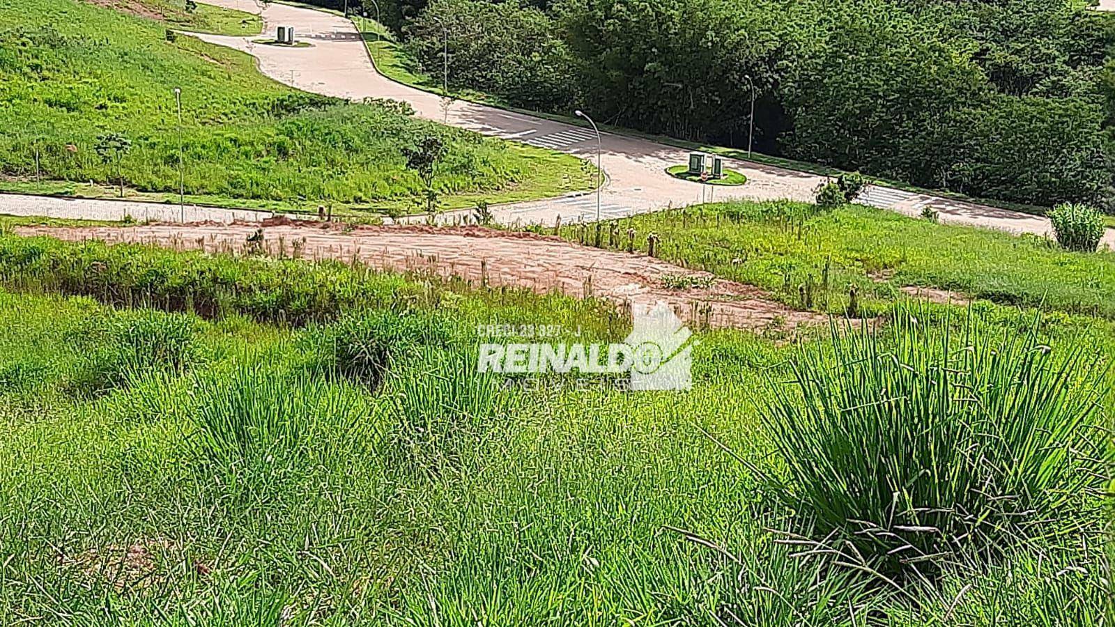 Loteamento e Condomínio à venda, 1160M2 - Foto 4