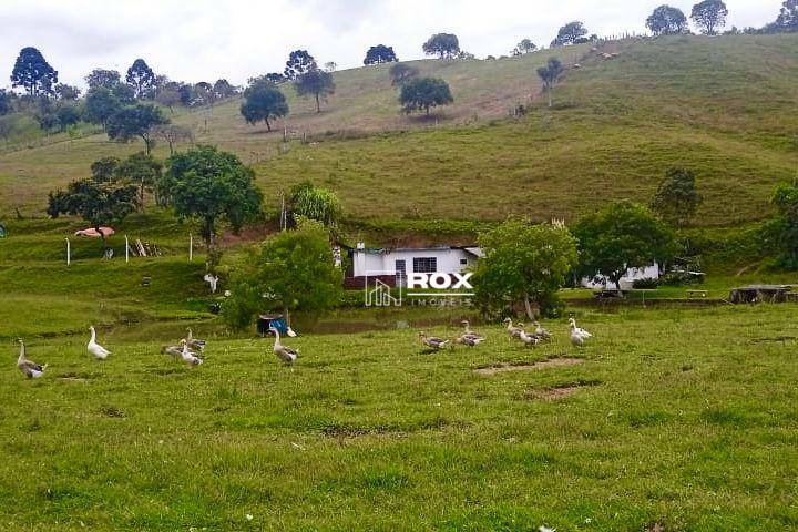 Chácara à venda com 6 quartos, 350m² - Foto 28