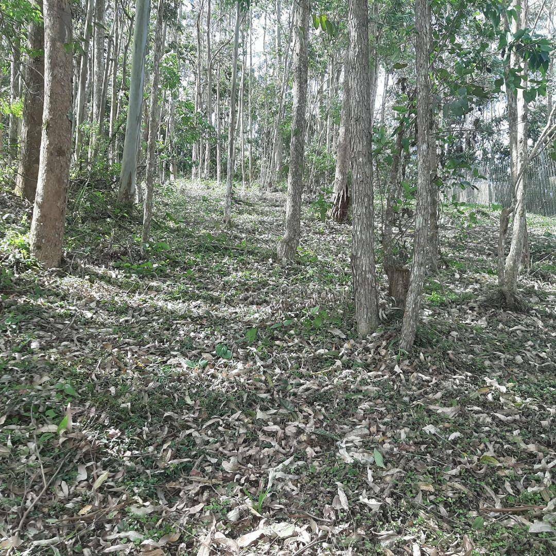 Loteamento e Condomínio à venda, 800M2 - Foto 7