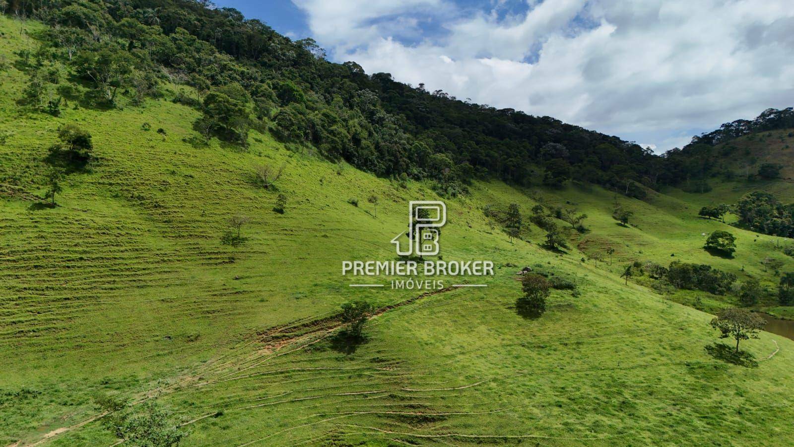 Fazenda à venda com 3 quartos, 250m² - Foto 40