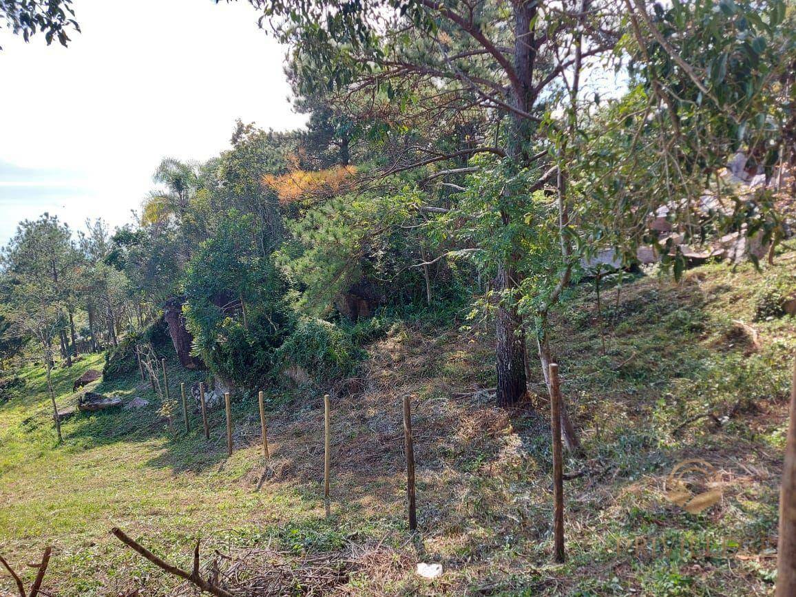 Terreno à venda, 2000M2 - Foto 8