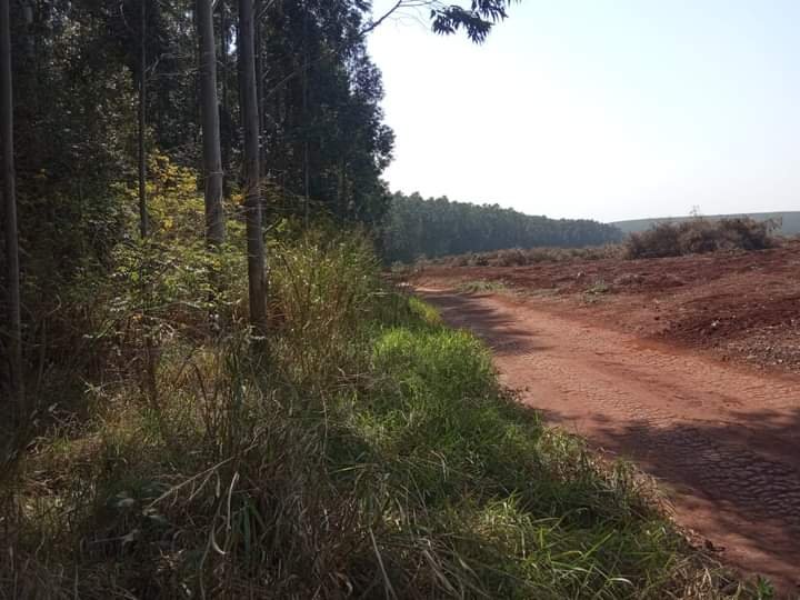 Fazenda à venda, 800m² - Foto 14