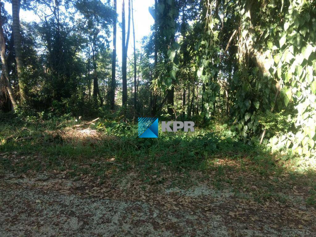 Chácara, 9 quartos, 4 hectares - Foto 5