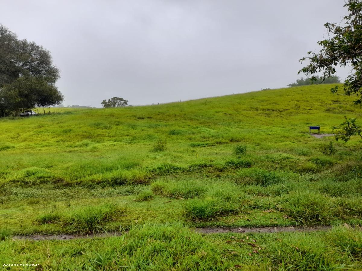 Fazenda à venda com 2 quartos, 61000m² - Foto 12