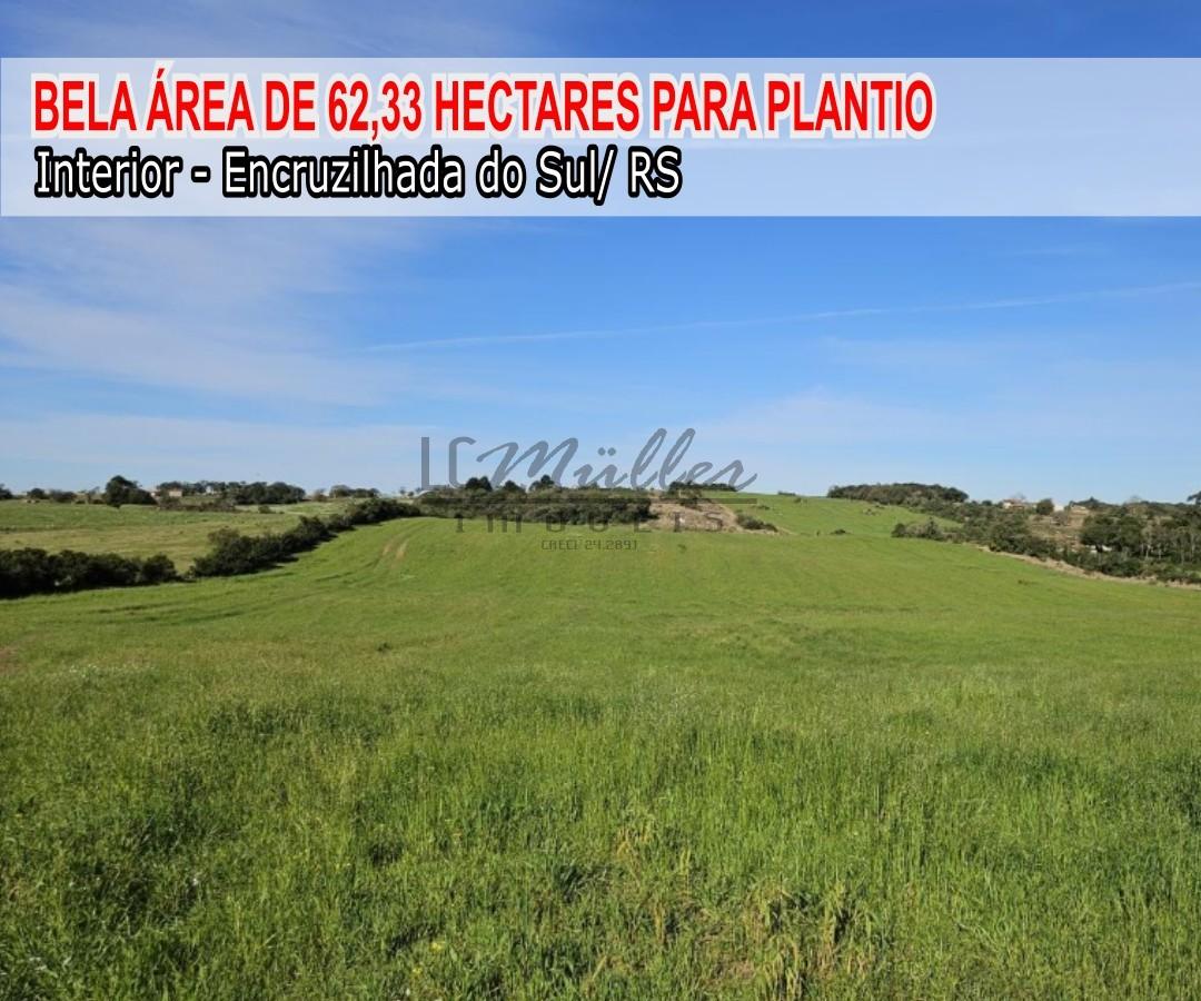 Sítio à venda, 62m² - Foto 1