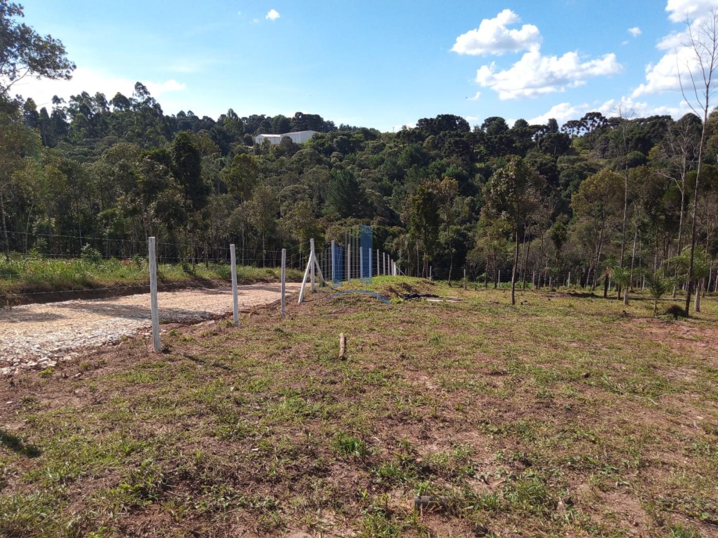 Chácara à venda, 5000m² - Foto 3