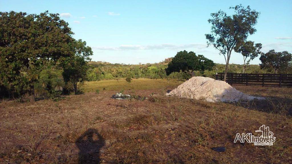 Fazenda à venda com 2 quartos, 4500000M2 - Foto 14