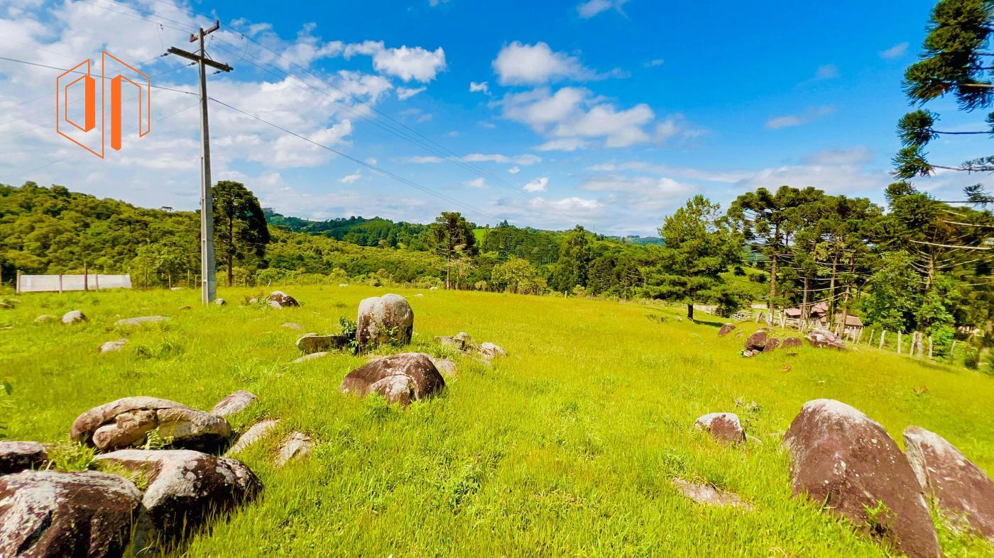 Fazenda à venda, 9700m² - Foto 8