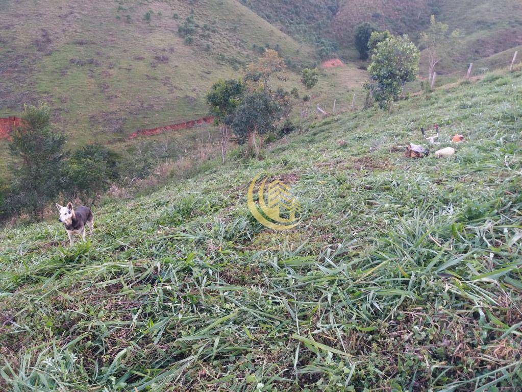 Terreno à venda, 2550M2 - Foto 3