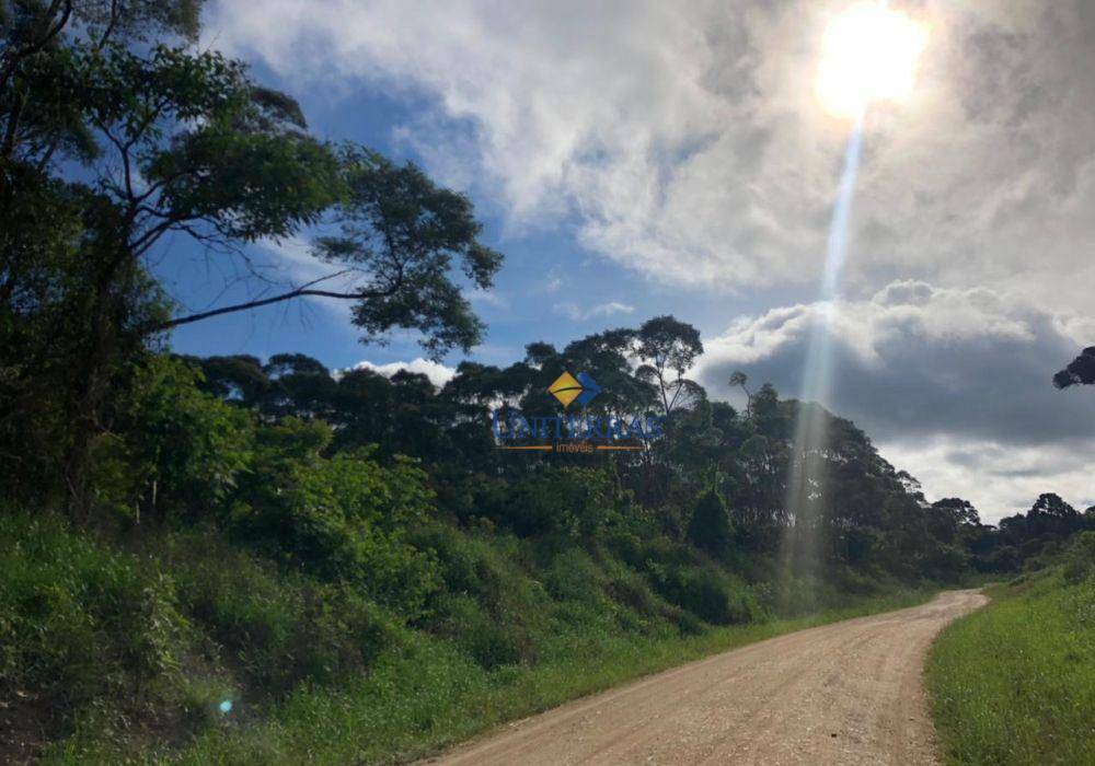 Terreno à venda - Foto 2