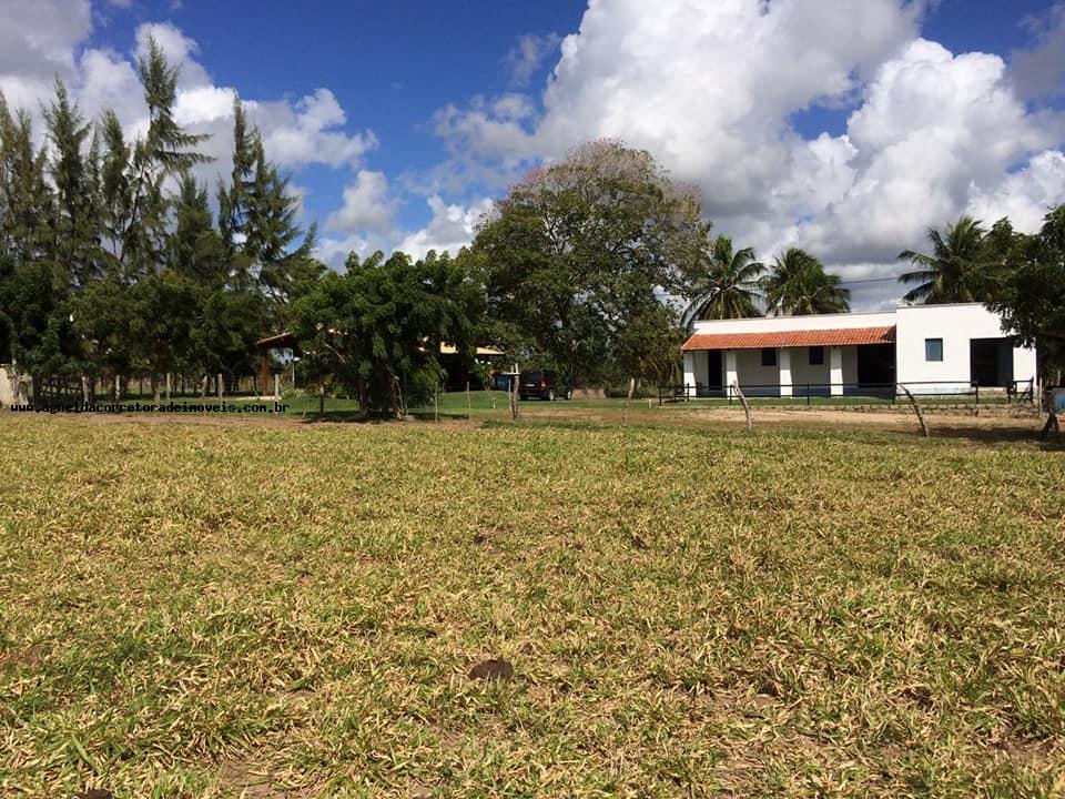 Fazenda à venda com 3 quartos, 13m² - Foto 9