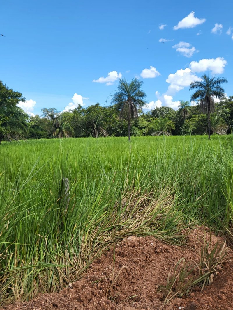 Fazenda à venda, 692m² - Foto 30