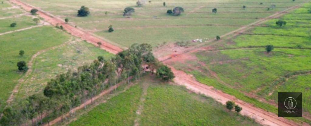 Fazenda-Sítio-Chácara, 4772 hectares - Foto 4