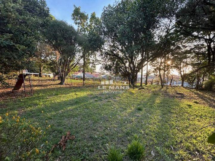 Chácara, 6 quartos, 3 hectares - Foto 2