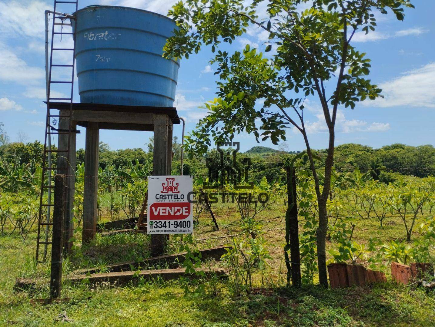 Chácara à venda com 3 quartos, 16720M2 - Foto 4