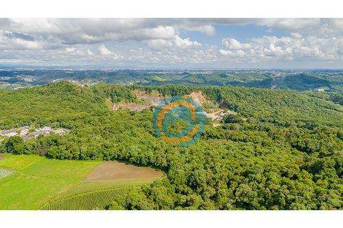 Terreno, 5 hectares - Foto 6