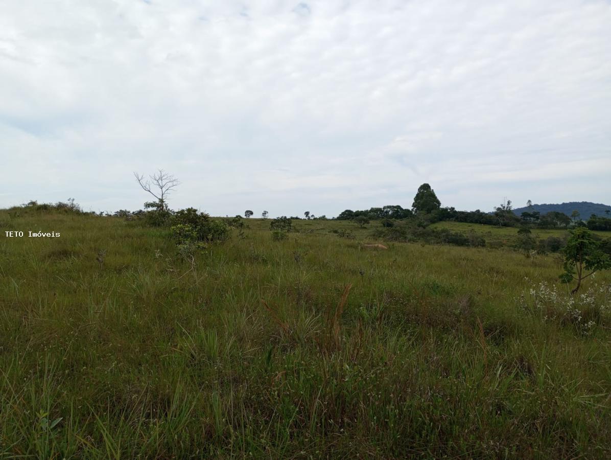 Fazenda à venda com 4 quartos, 36m² - Foto 22