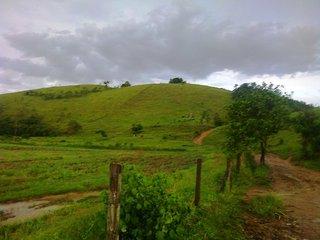 Fazenda à venda com 5 quartos, 140m² - Foto 19