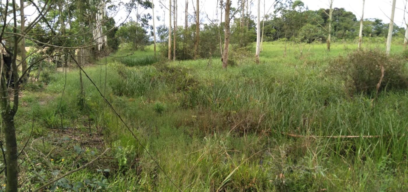 Fazenda à venda, 25000m² - Foto 9