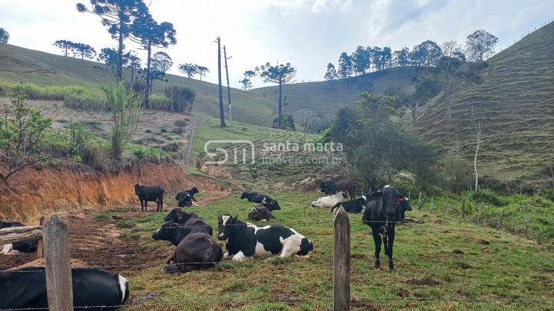 Fazenda à venda com 3 quartos, 1m² - Foto 1